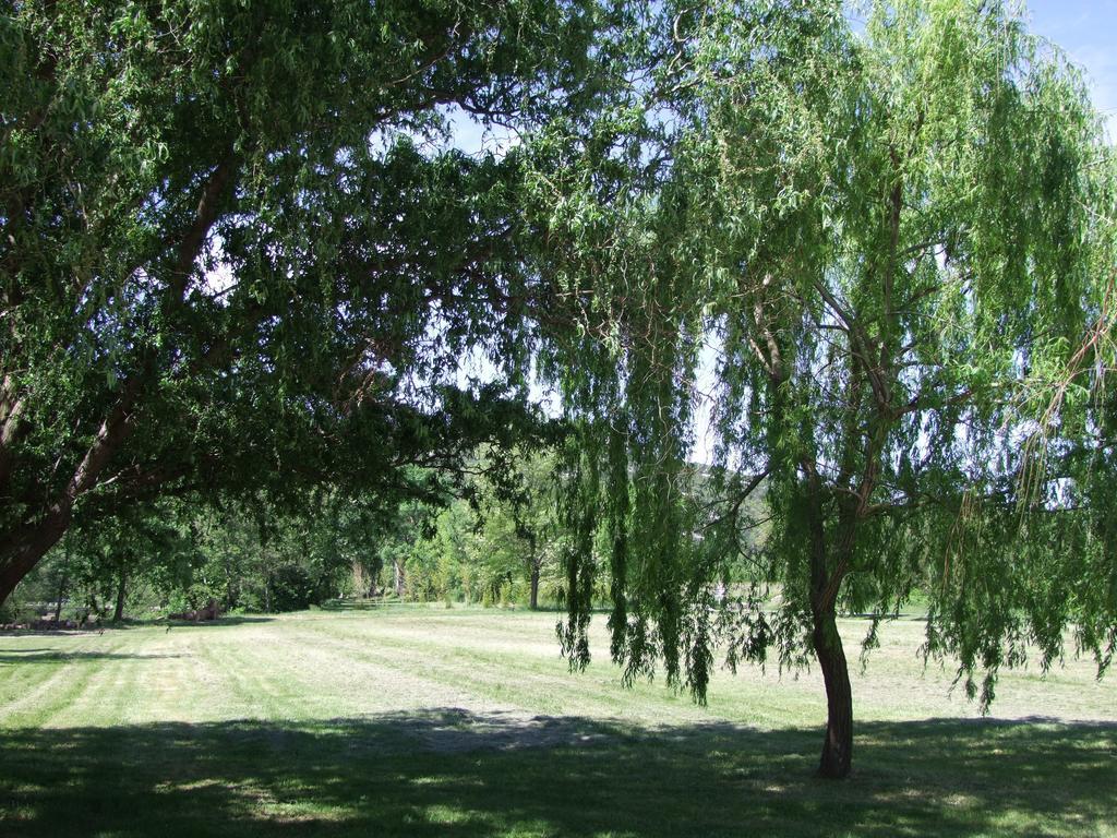 La Magnanerie D'Hotes ,Le Jardin Secret Sauve Екстериор снимка